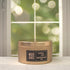 Mediterranean Fig 5oz Candle in Copper by Moxie & Grace — a lush, earthy blend of fig, green leaves, cedar, and warm musk